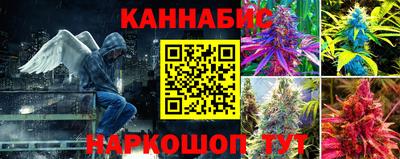 гашик Краснознаменск