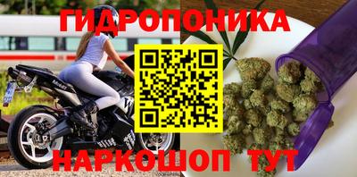гашик Краснознаменск