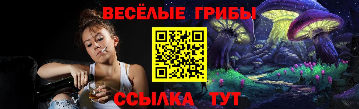 Калуга  Псилоцибиновые грибы GOLDEN TEACHER  Вход с VPN 